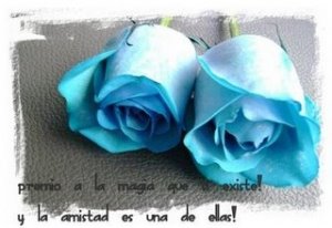 premio_magia