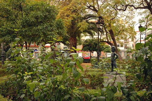 jardines-de-los-monos_05