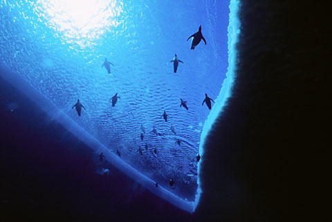 fotos naturaleza por la libertad de prensa_07