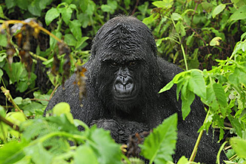 fotos naturaleza por la libertad de prensa_08