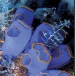 Guía YouThing de Málaga: 16 de abril al 12 de mayo