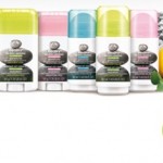 Resultados del cuestionario The body shop