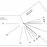 Cómo hacer un reloj de sol