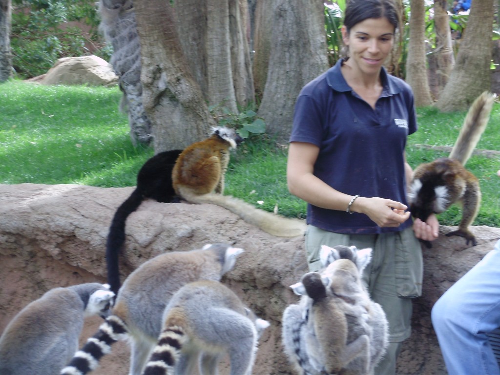 lemures_cuidadora_bioparc_fuengirola