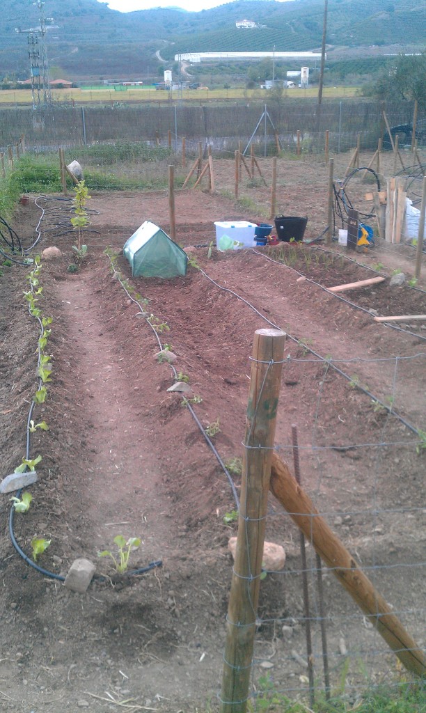 huerto