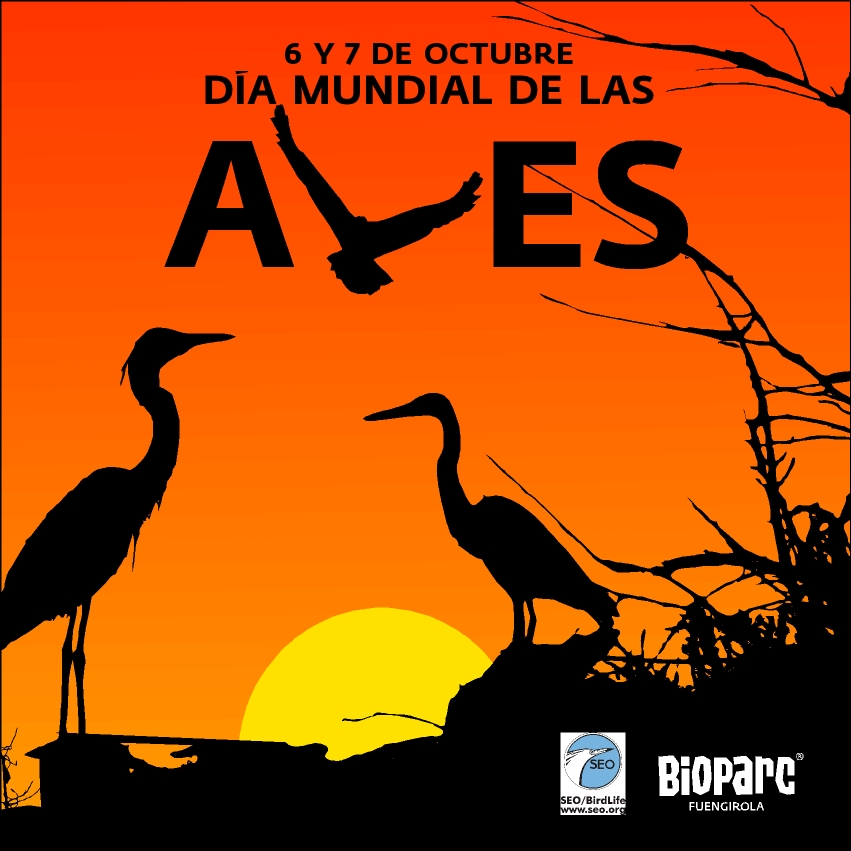 Día Mundial de las Aves en Bioparc Fuengirola